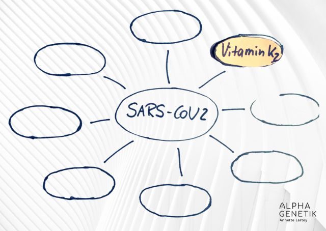 Covid 19 - Impfung - Vitamin K
