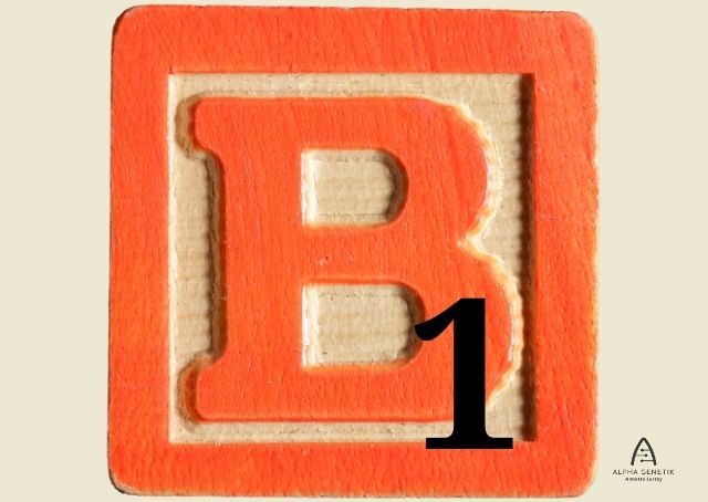 Vitamin B1