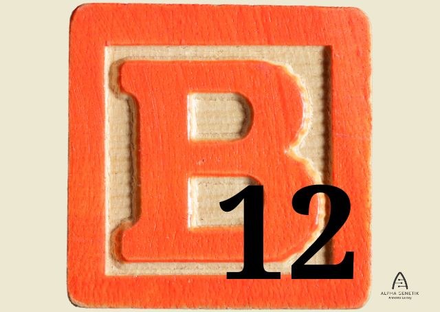 Vitamin B12
