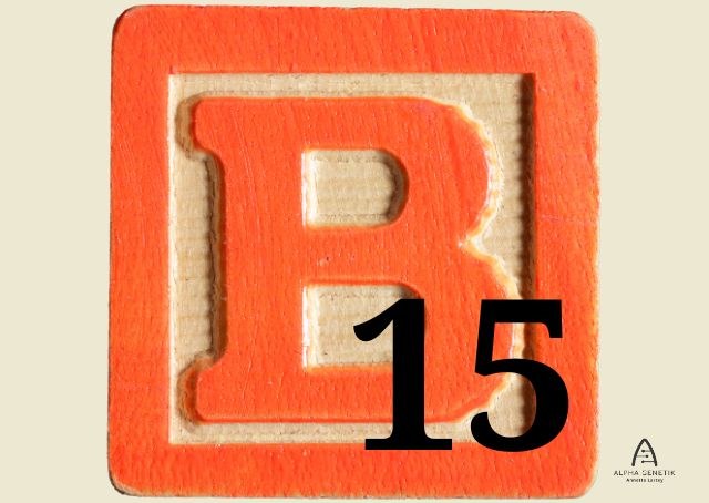 Vitamin B15