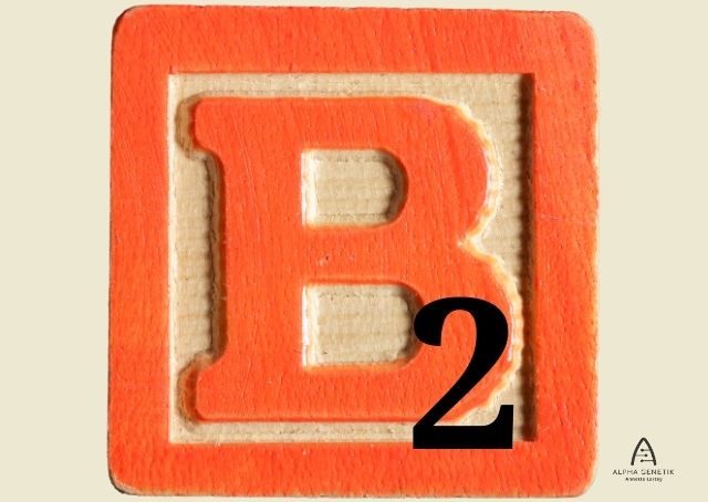 Vitamin B2