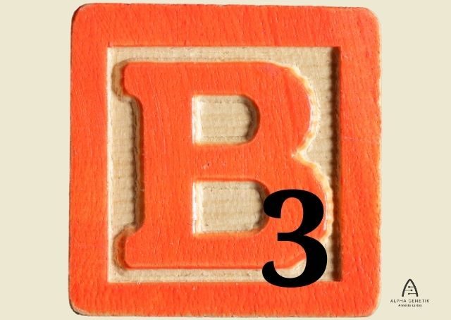 Vitamin B3