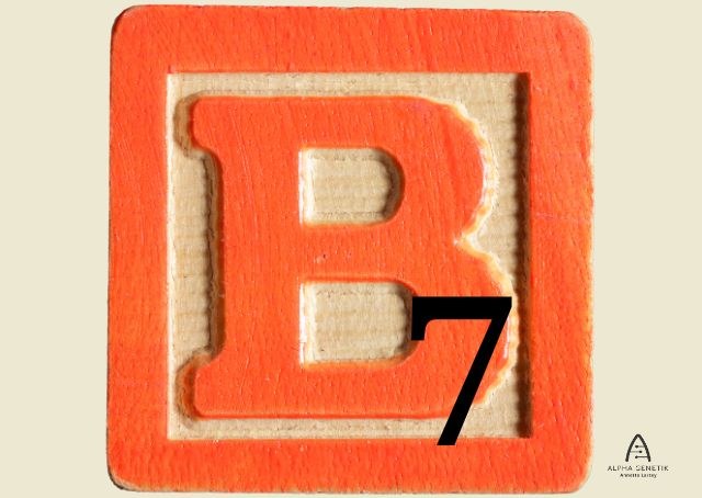 Vitamin B7 - Biotin