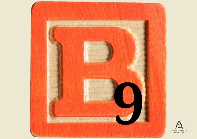 Folsäure - Vitamin B9