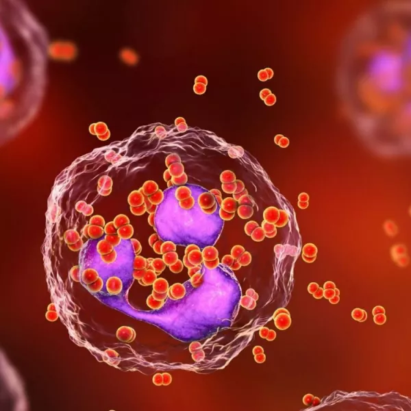 Annette Lartey - AlphaGenetik -  - Quelle für mehr Leistungsfähigkeit Die unterschiedlichen Gesichter von LongCovid - Die Endotheliitis. Bild