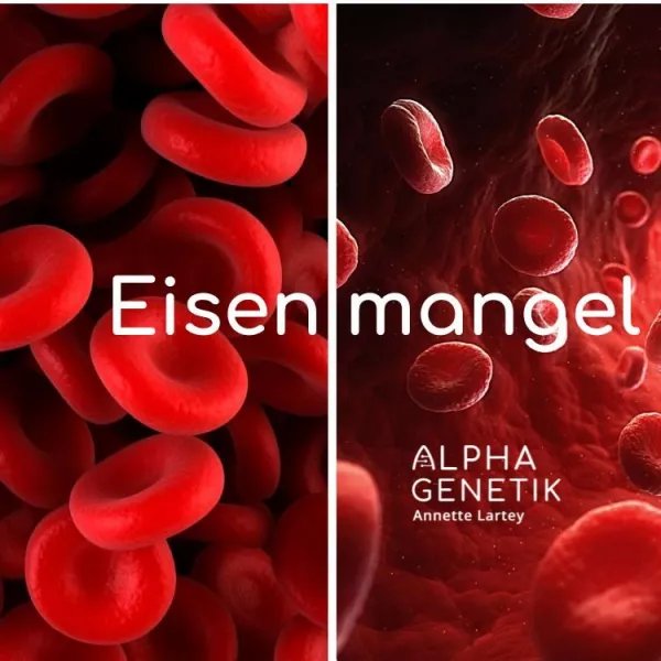 Annette Lartey - AlphaGenetik -  - Quelle für mehr Leistungsfähigkeit EISEN + EISEN-Mangel: Wurden diese Blutwerte bei Dir überprüft? Bild