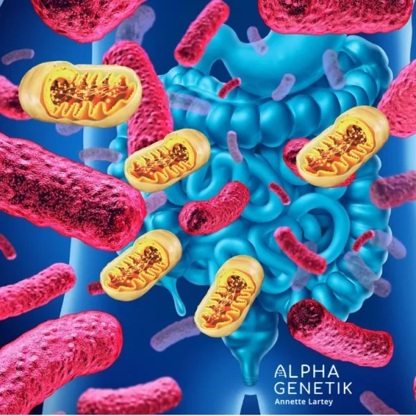 Annette Lartey - AlphaGenetik -  - Quelle für mehr Leistungsfähigkeit MITOCHONDRIEN- Wenn Du das liest, bist Du in Gefahr! Bild