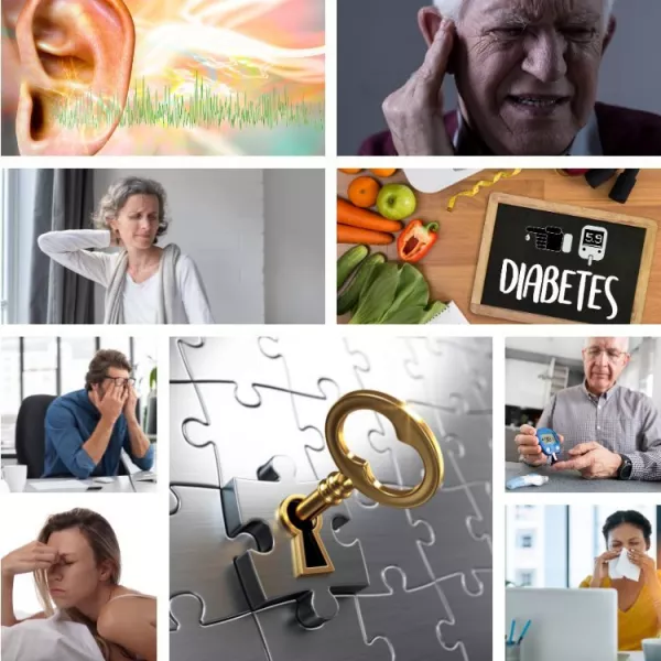 Annette Lartey - AlphaGenetik -  - Quelle für mehr Leistungsfähigkeit Stress, Schlafstörungen, Tinnitus - Ist das vegetative Nervensystem der Schlüssel? Bild