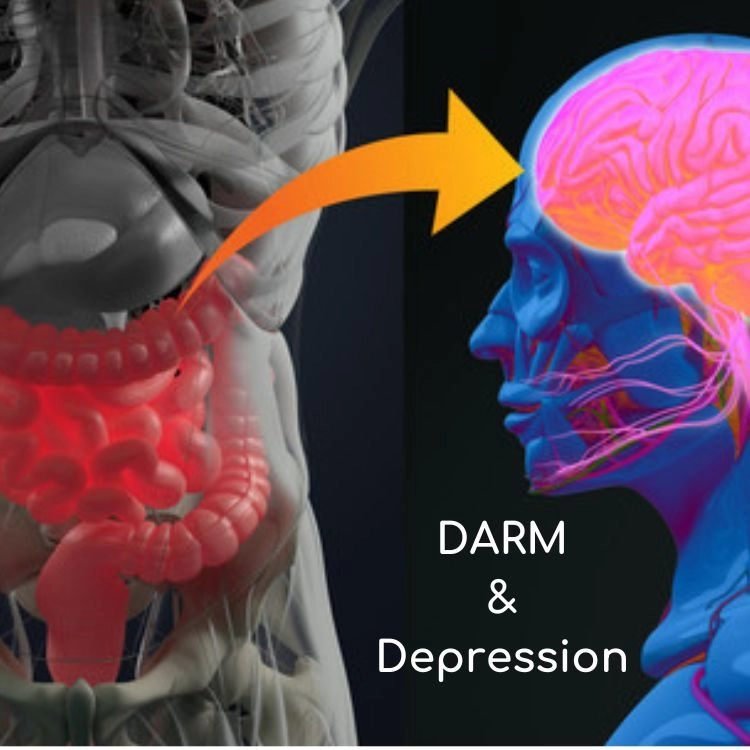 Warum ich Depressionen über den Darm behandle - ein Artikel von Annette Lartey - AlphaGenetik -  - Quelle für mehr Leistungsfähigkeit