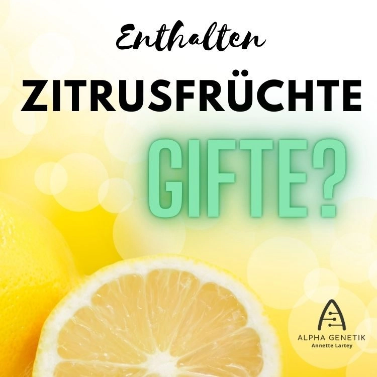 Chemikalien in Orangen und Zitronen: Was steckt wirklich drin? - ein Artikel von Annette Lartey - AlphaGenetik -  - Quelle für mehr Leistungsfähigkeit
