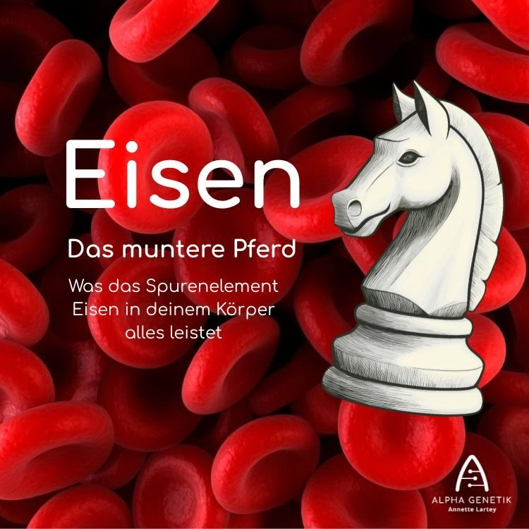 Schlüssel zu deinen Mitochondrien: Wie Eisen als Energie-Booster wirkt - ein Artikel von Annette Lartey - AlphaGenetik -  - Quelle für mehr Leistungsfähigkeit