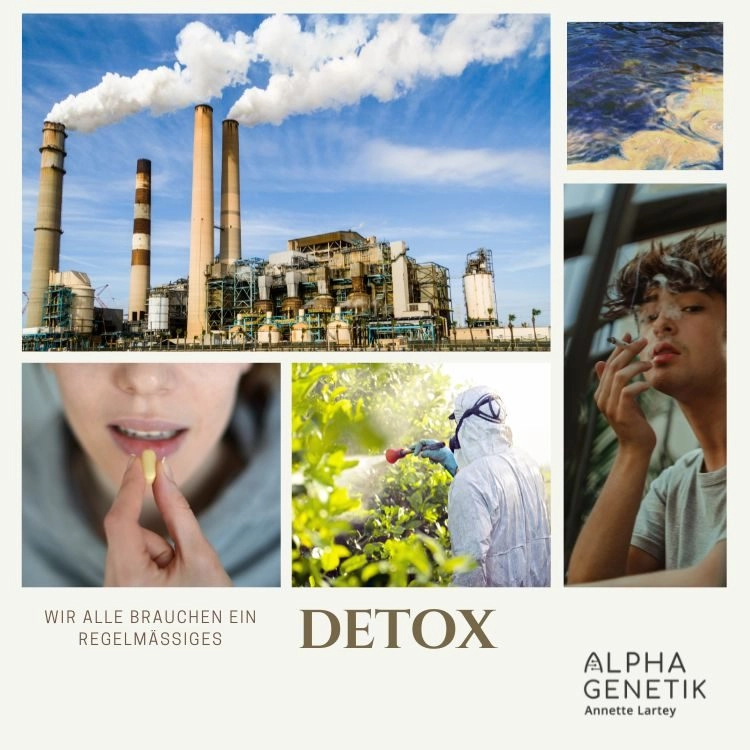 Detox nötig? - Welchen Giften bin ich ausgesetzt? - ein Artikel von Annette Lartey - AlphaGenetik -  - Quelle für mehr Leistungsfähigkeit