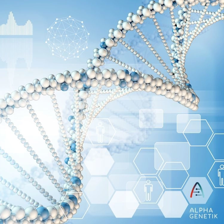 Was ist Epigenetik? Einfach erklärt - ein Artikel von Annette Lartey - AlphaGenetik -  - Quelle für mehr Leistungsfähigkeit