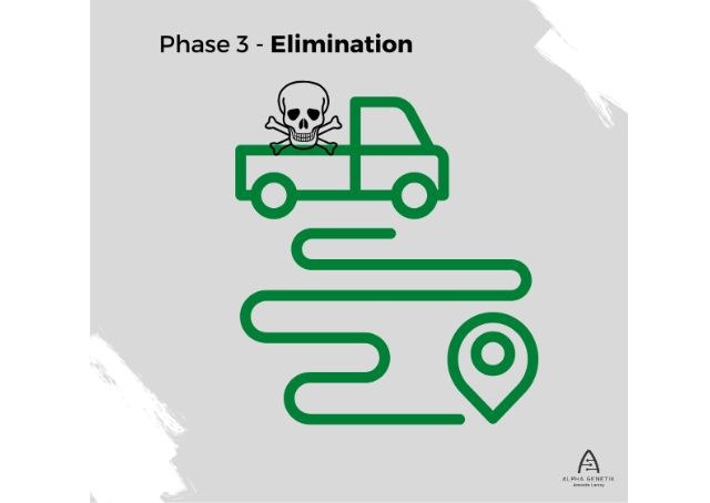 Biotransformation Phase 3