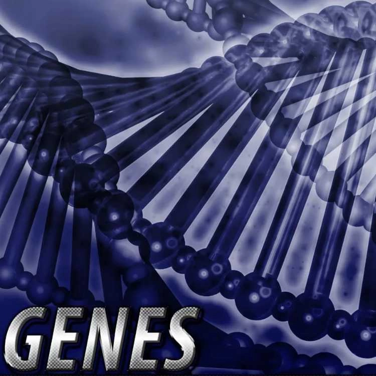 EPIGENETIK - Sind wir unseren GENEN ausgeliefert? - ein Artikel von Annette Lartey - AlphaGenetik -  - Quelle für mehr Leistungsfähigkeit