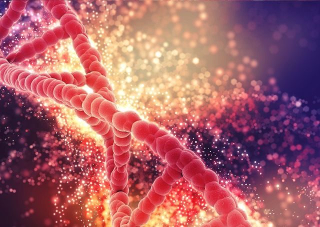 Vegan - Nukleotide supplementieren