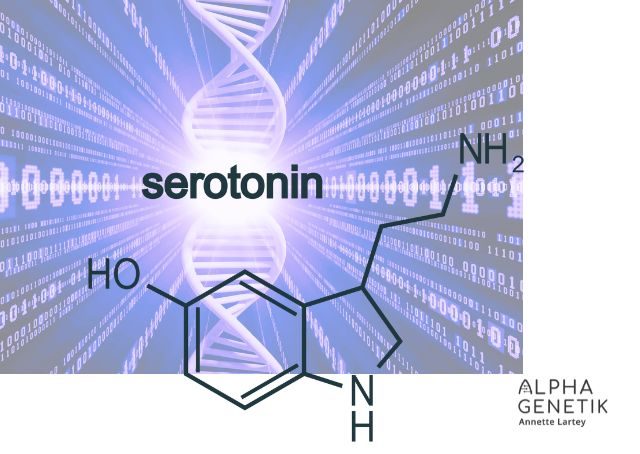 Serotonin - Hormone - Epigenetik