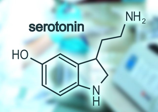 Serotonin unser Glückshormon