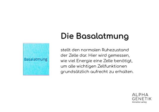 Der BHI - Die Basaltmung
