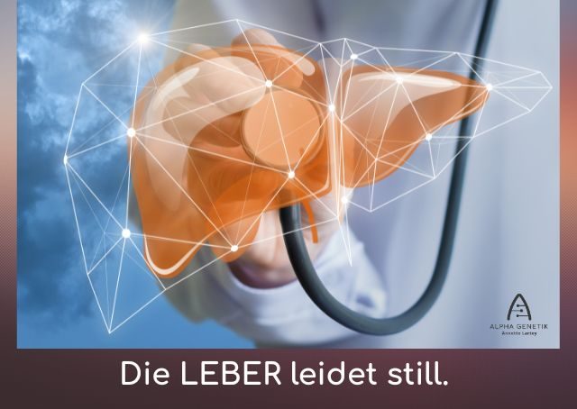 Die Leber leidet still