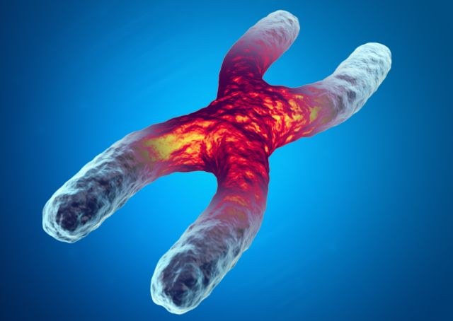 Schlafstörungen in der Epigenetik