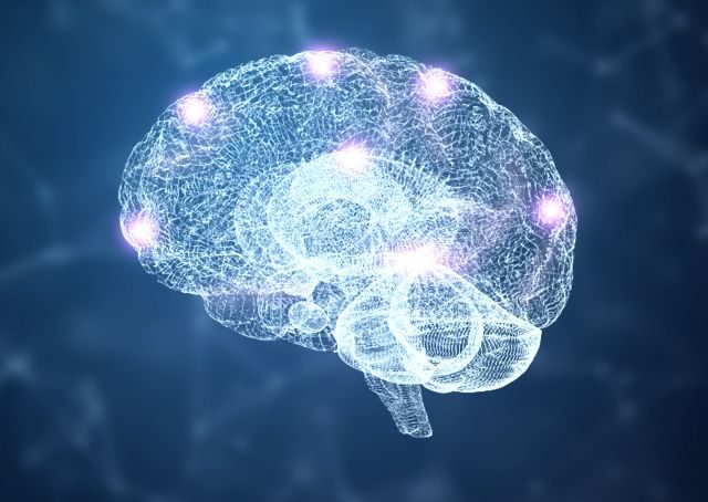 Melatonin ist Gehirnschutz pur