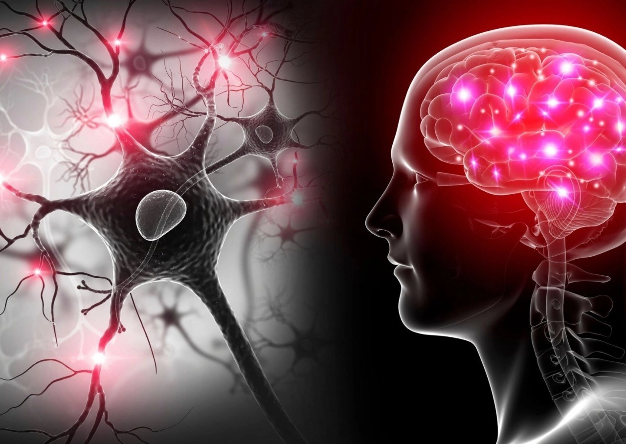 Spermidin - ein interessanter Naturstoff, der Dein Immunsystem, Deine Mitochondrien und Dein Gedächtnis unterstützen kann - ein Artikel von Annette Lartey - AlphaGenetik -  - Quelle für mehr Leistungsfähigkeit