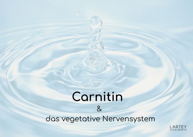 VagusVit-Infusion - Carnitin