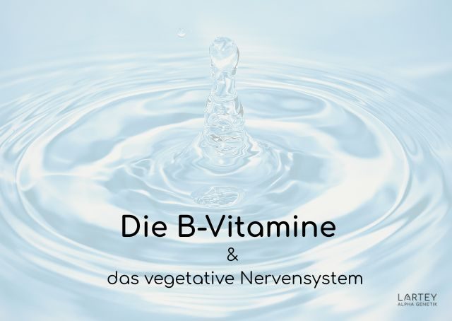 VagusVit-Infusion B-Vitamine