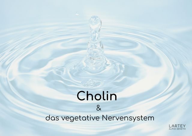 Cholin fürs vegetative Nervensystem