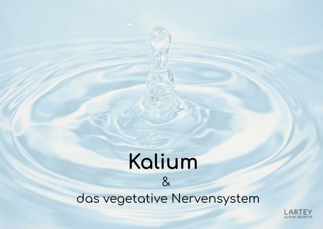 VagusVit-Infusion - Kalium