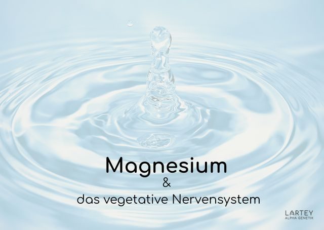 VagusVit-Infusion - Magnesium