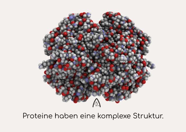 Prtoteine sind komplexe Strukturen